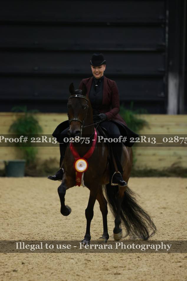 Proof Number 22R13_02875