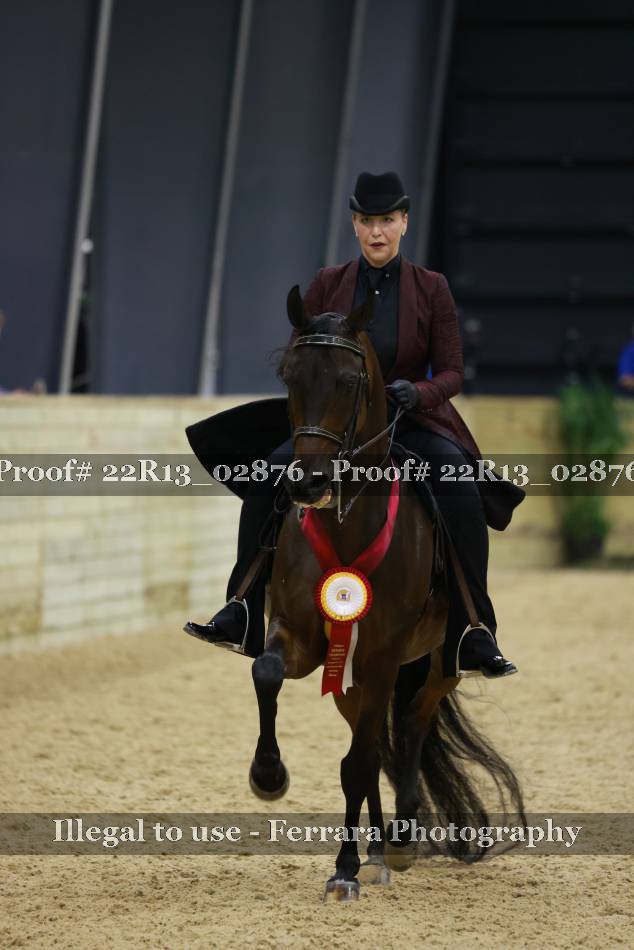 Proof Number 22R13_02876