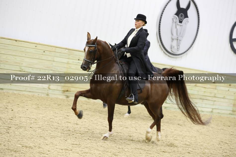Proof Number 22R13_02905