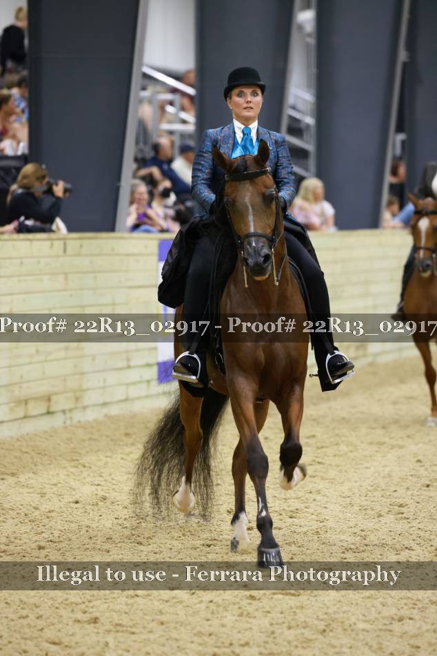 Proof Number 22R13_02917