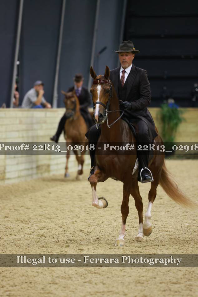 Proof Number 22R13_02918