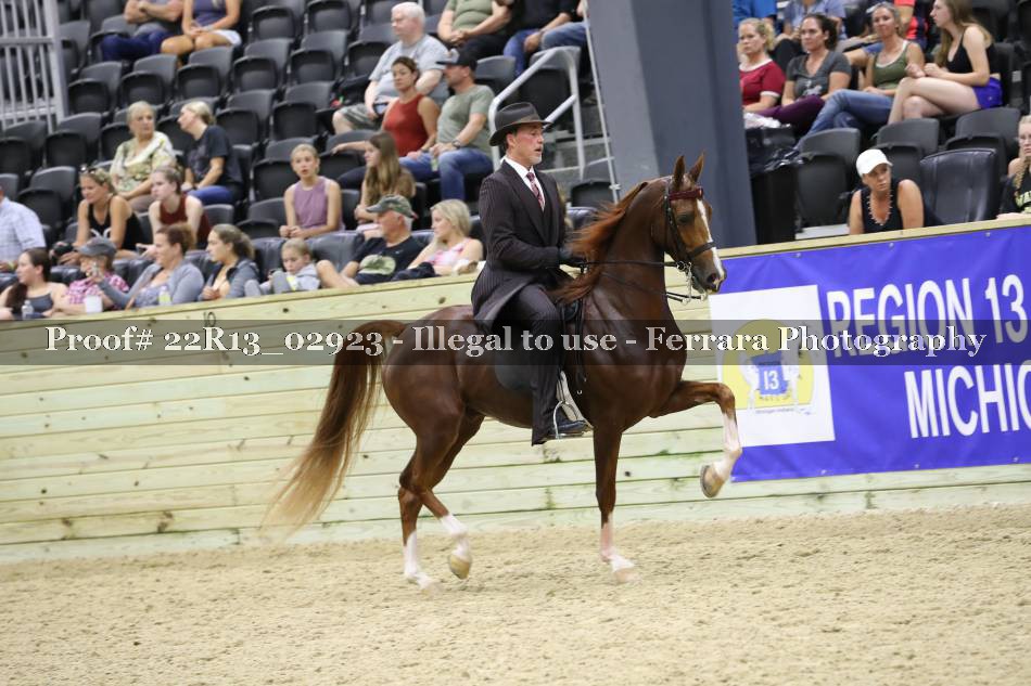 Proof Number 22R13_02923