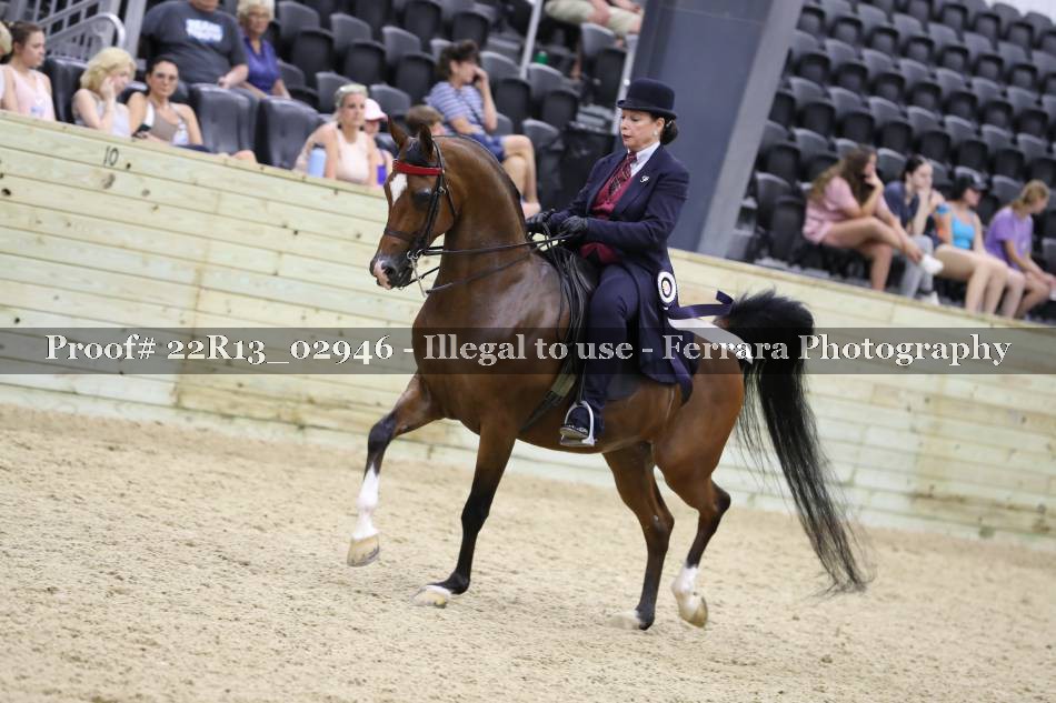 Proof Number 22R13_02946