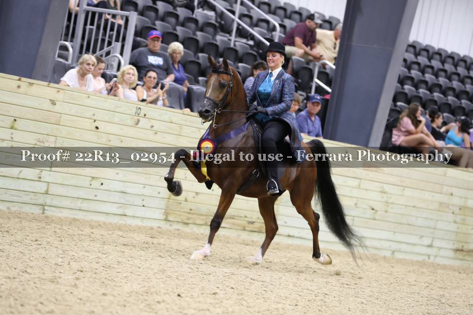 Proof Number 22R13_02954