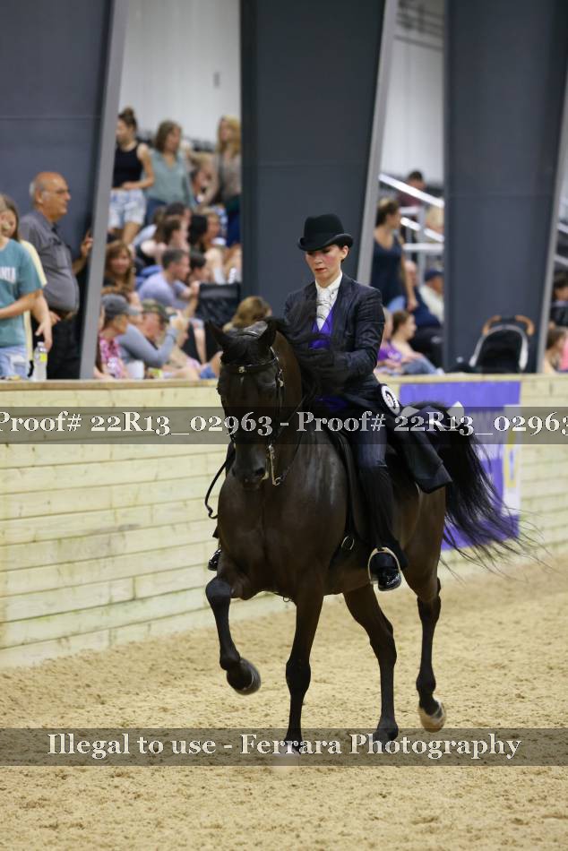 Proof Number 22R13_02963