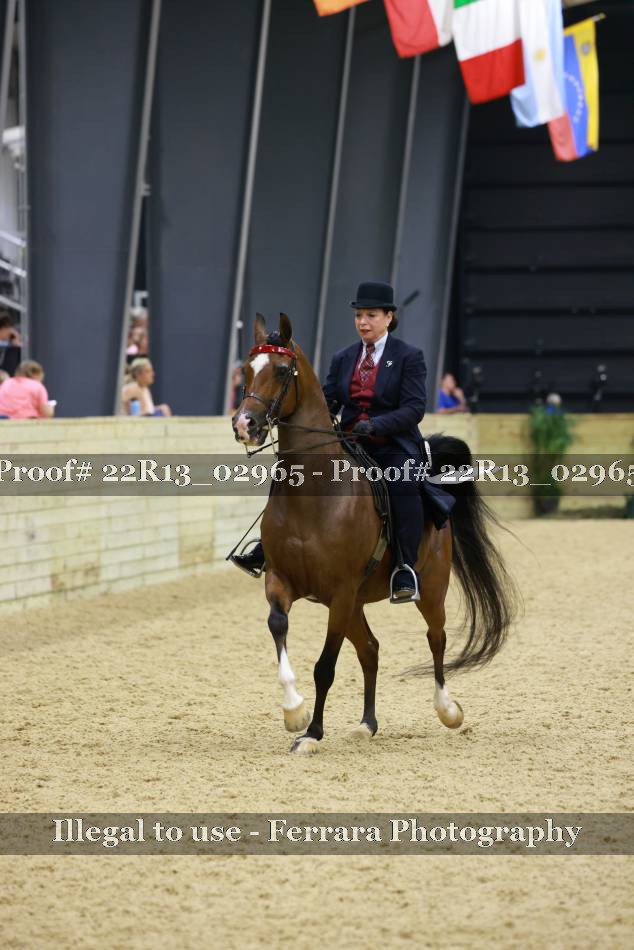 Proof Number 22R13_02965