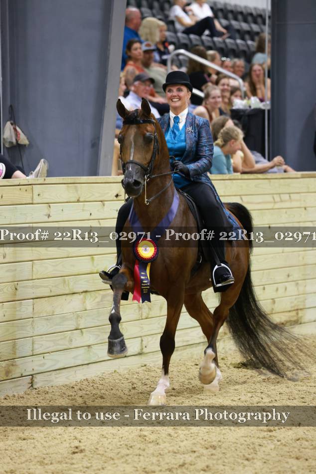 Proof Number 22R13_02971