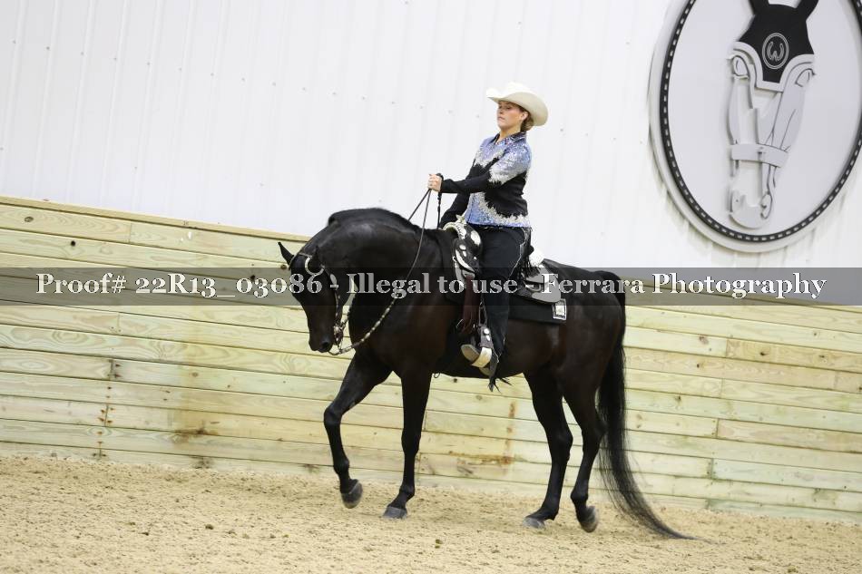 Proof Number 22R13_03086