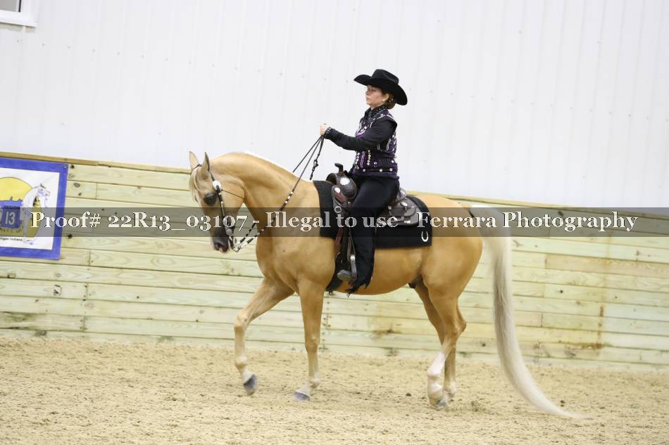 Proof Number 22R13_03107