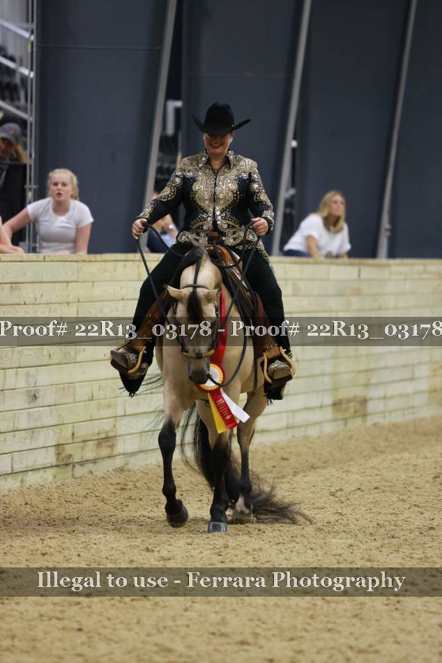 Proof Number 22R13_03178