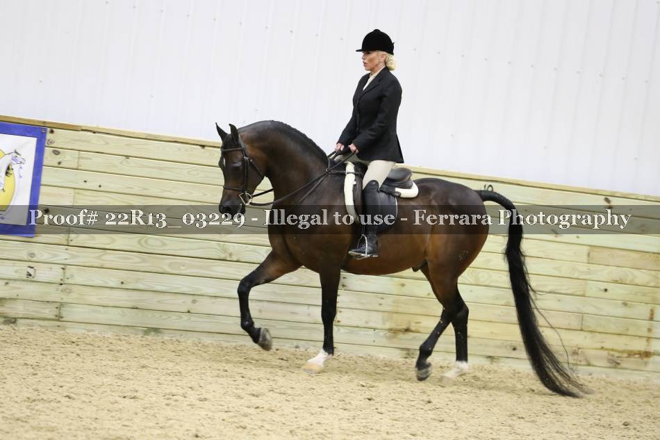 Proof Number 22R13_03229