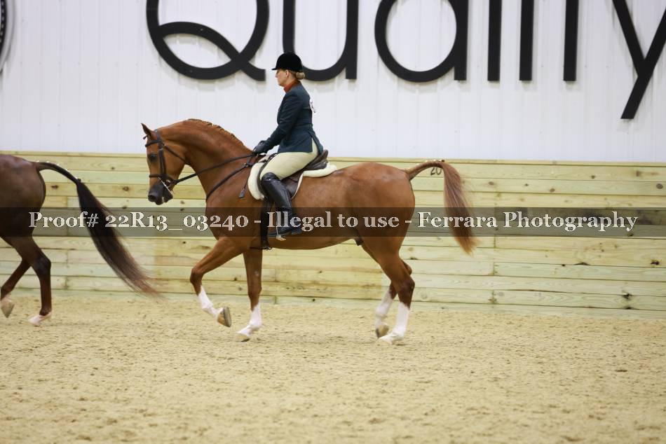 Proof Number 22R13_03240