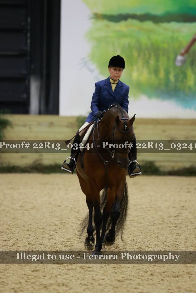 Proof Number 22R13_03241