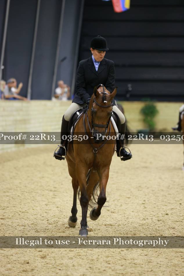 Proof Number 22R13_03250