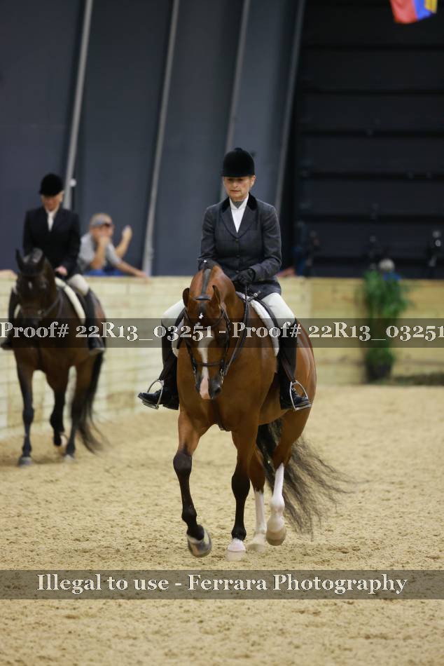 Proof Number 22R13_03251