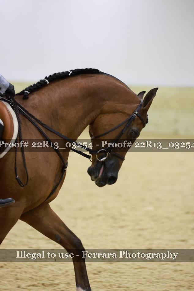 Proof Number 22R13_03254