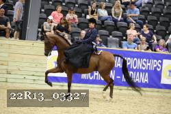 22R13_03327 thumbnail