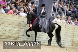 22R13_03328 thumbnail