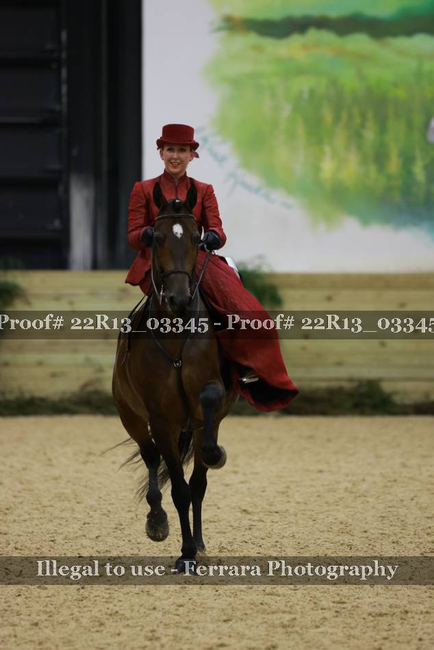 Proof Number 22R13_03345