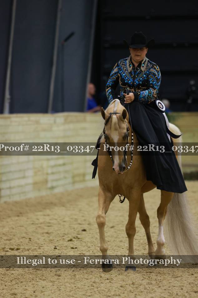 Proof Number 22R13_03347