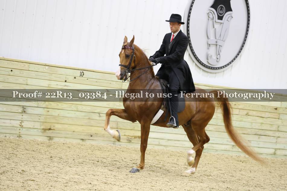 Proof Number 22R13_03384
