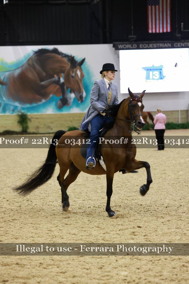 Proof Number 22R13_03412