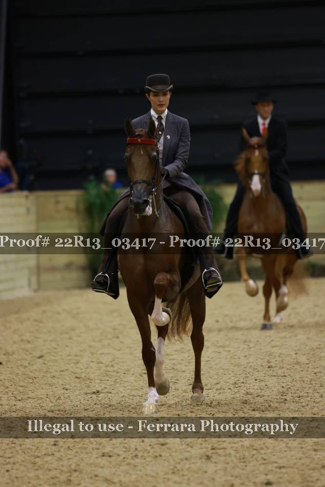 Proof Number 22R13_03417
