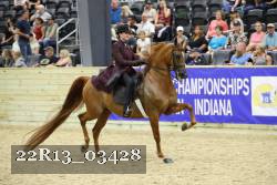 22R13_03428 thumbnail