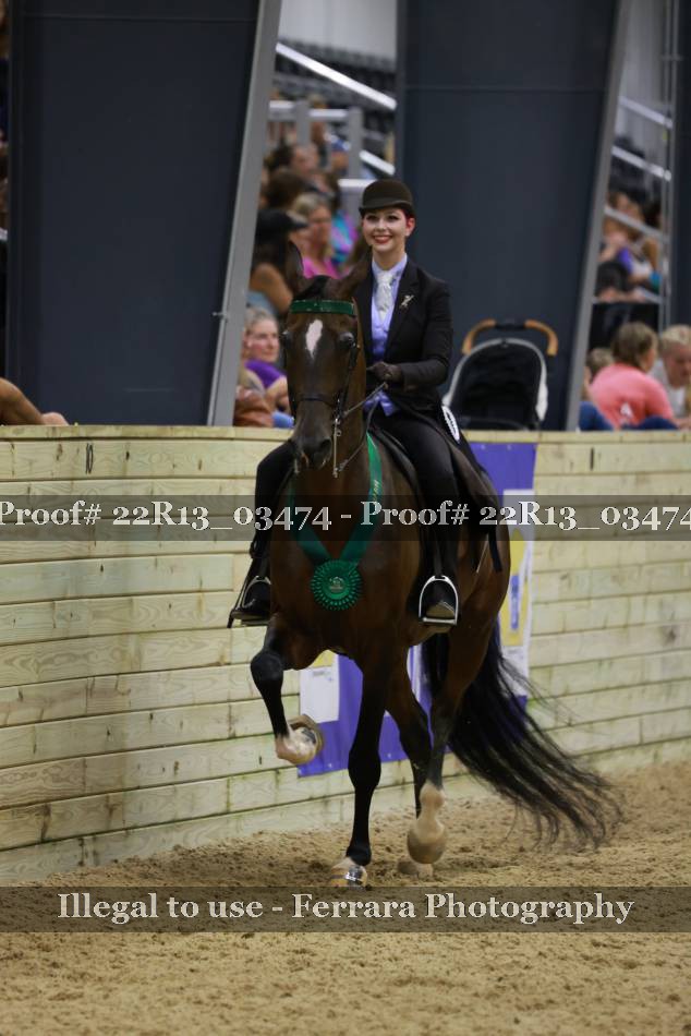 Proof Number 22R13_03474