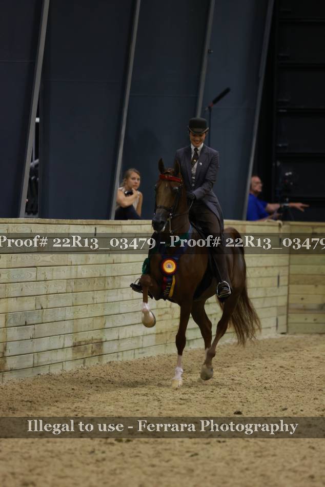 Proof Number 22R13_03479