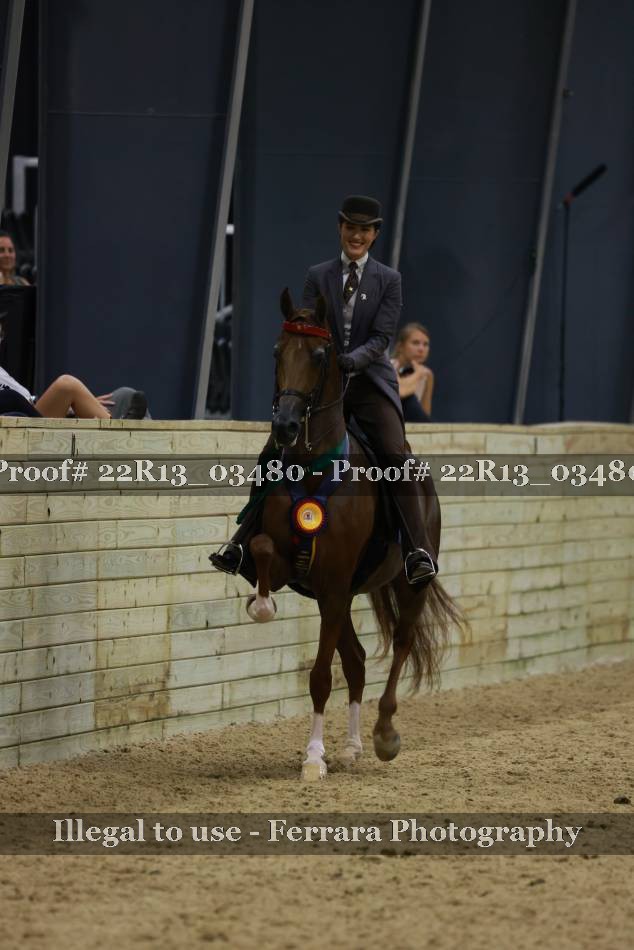 Proof Number 22R13_03480
