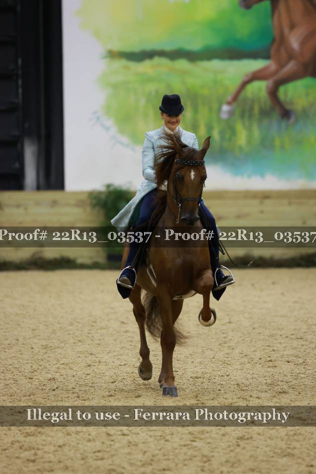 Proof Number 22R13_03537
