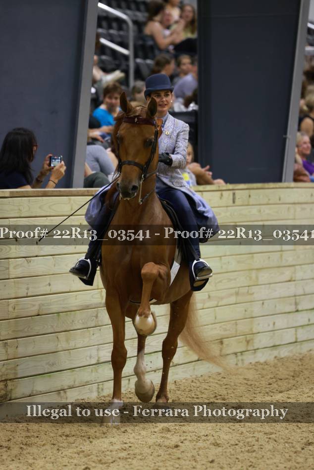 Proof Number 22R13_03541