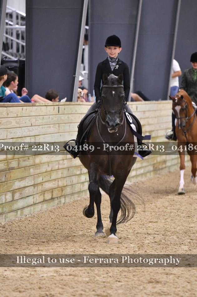 Proof Number 22R13_04189