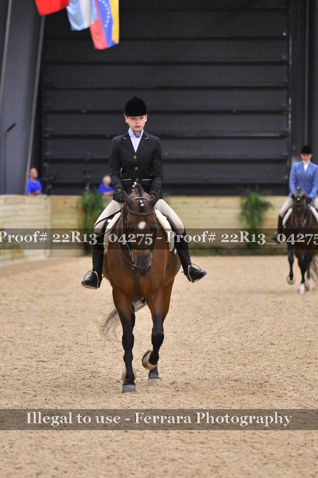 Proof Number 22R13_04275