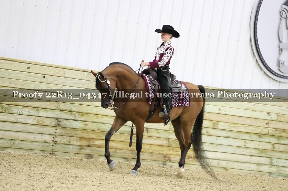 Proof Number 22R13_04347