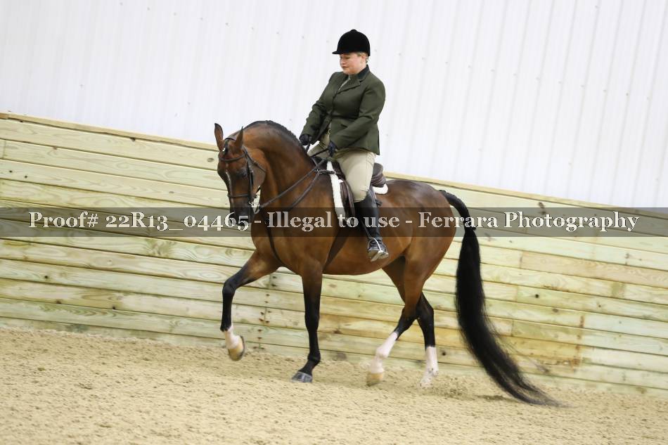 Proof Number 22R13_04465