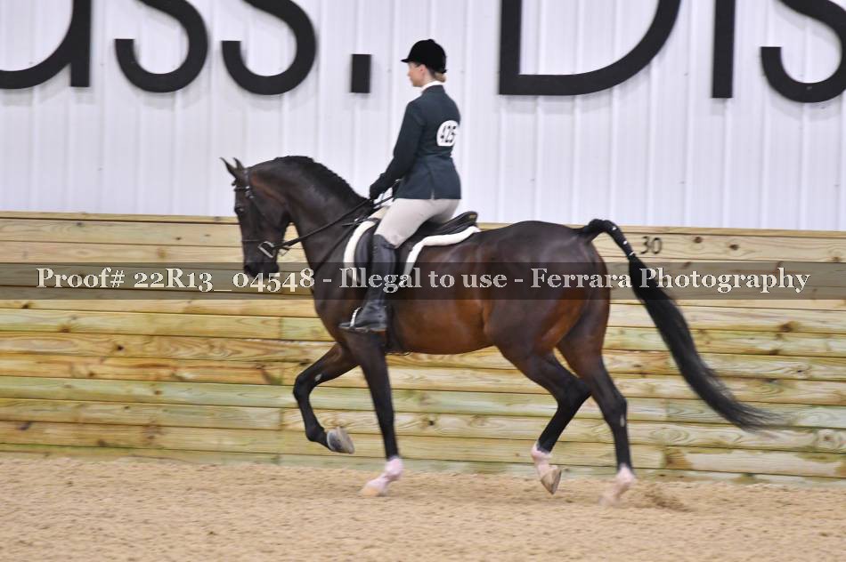 Proof Number 22R13_04548
