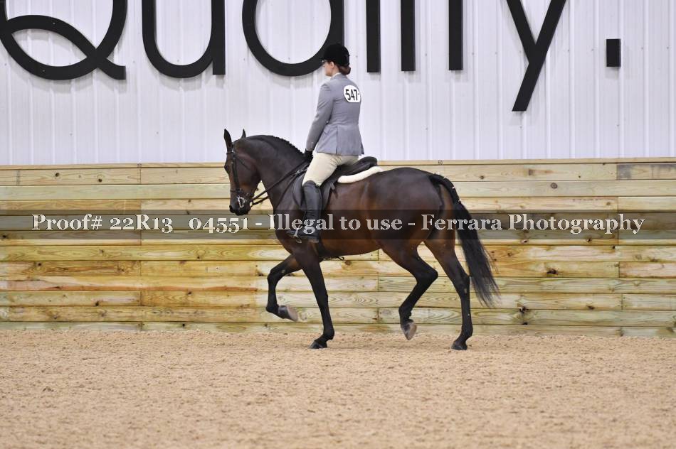Proof Number 22R13_04551