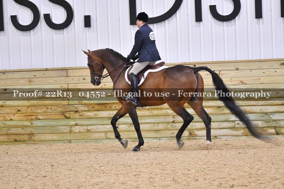 Proof Number 22R13_04552