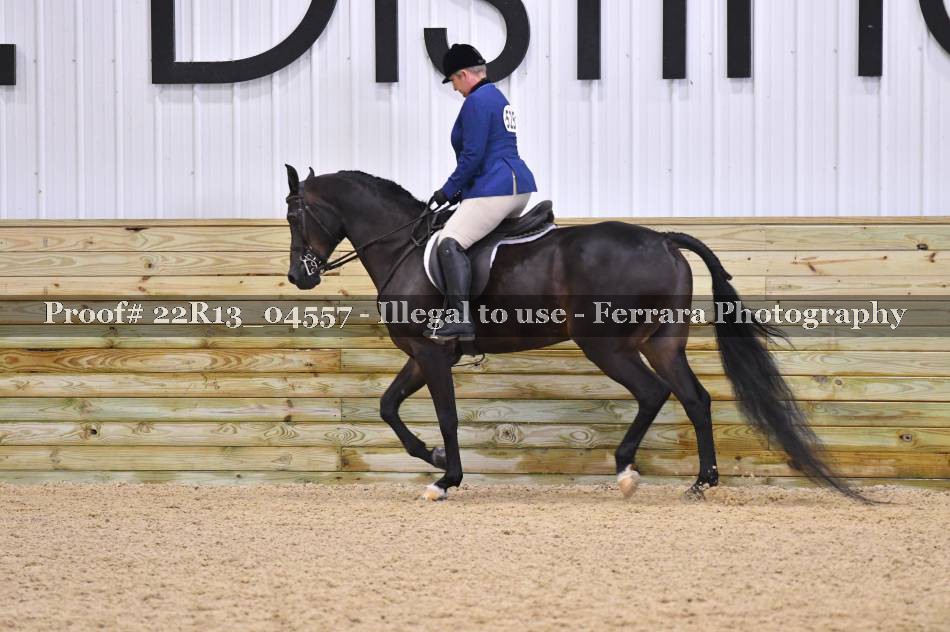 Proof Number 22R13_04557