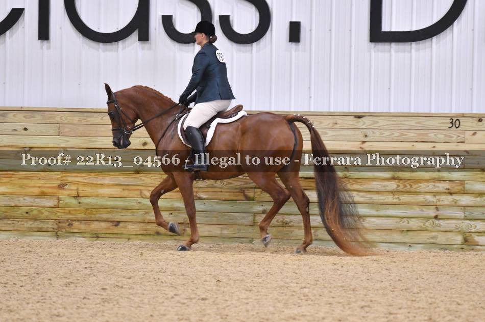 Proof Number 22R13_04566