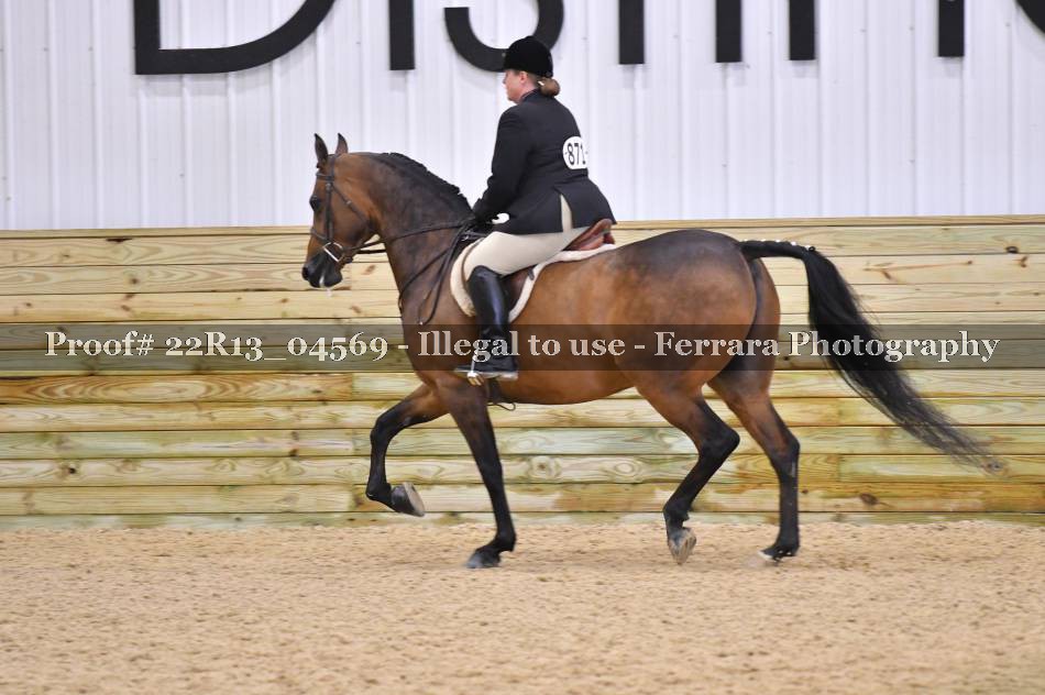 Proof Number 22R13_04569