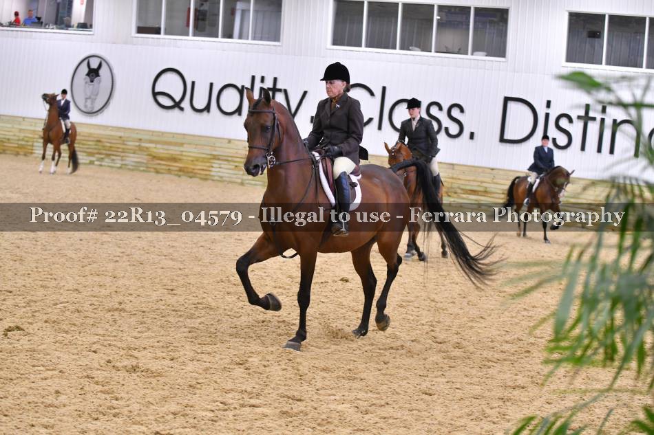 Proof Number 22R13_04579