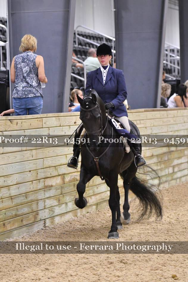 Proof Number 22R13_04591