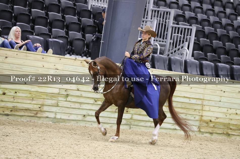 Proof Number 22R13_04642