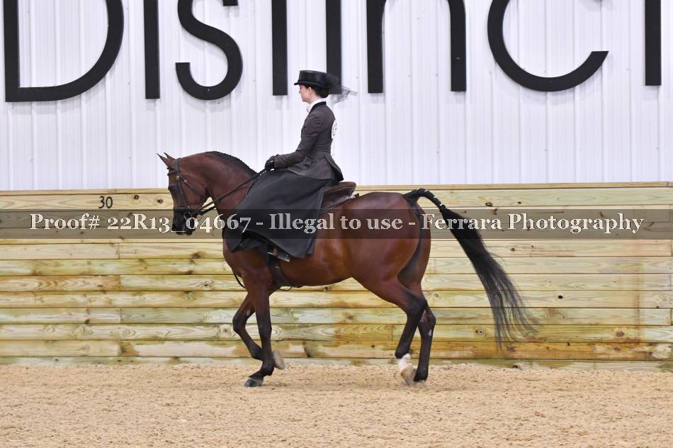 Proof Number 22R13_04667