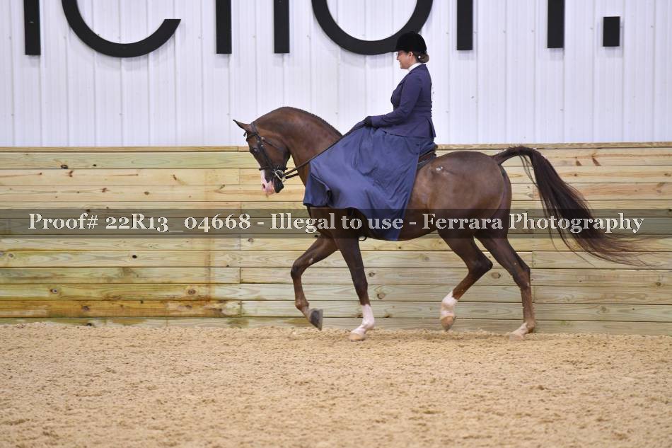 Proof Number 22R13_04668