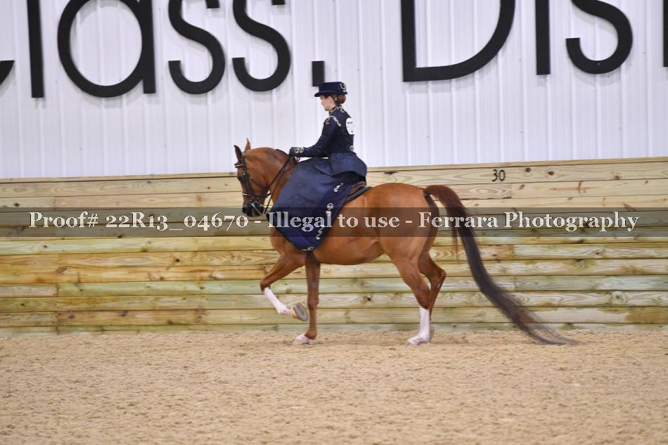 Proof Number 22R13_04670