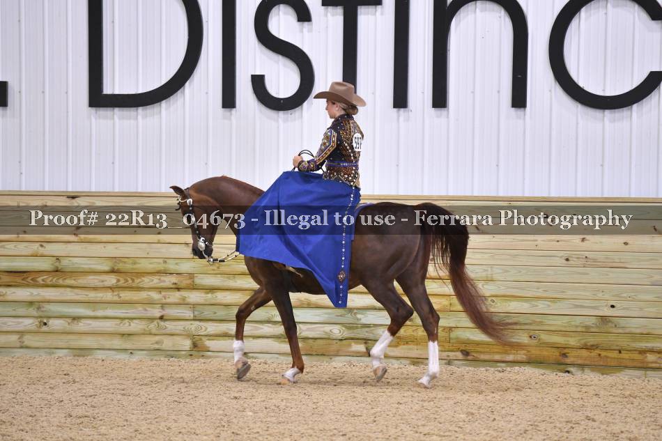 Proof Number 22R13_04673